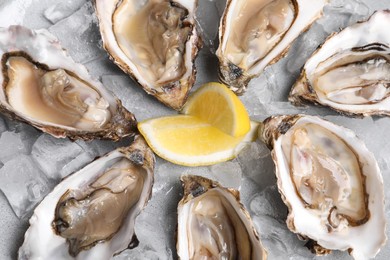 Photo of Delicious fresh oysters with lemon slices on ice, closeup