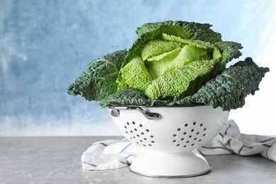 Fresh green savoy cabbage in colander on table against light blue background