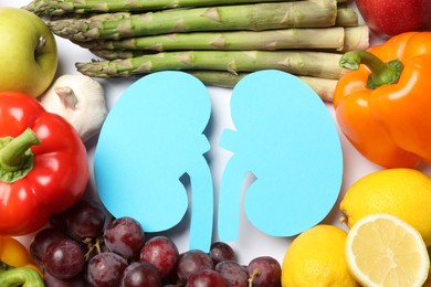 Photo of Paper cutout of kidneys and different healthy products on white background, flat lay
