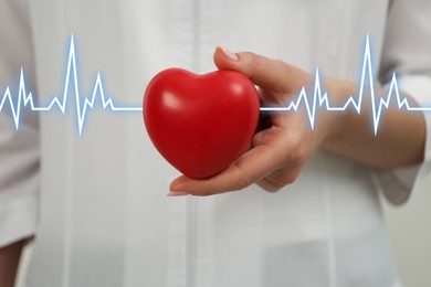 Image of Doctor holding red heart, closeup. Cardiology concept