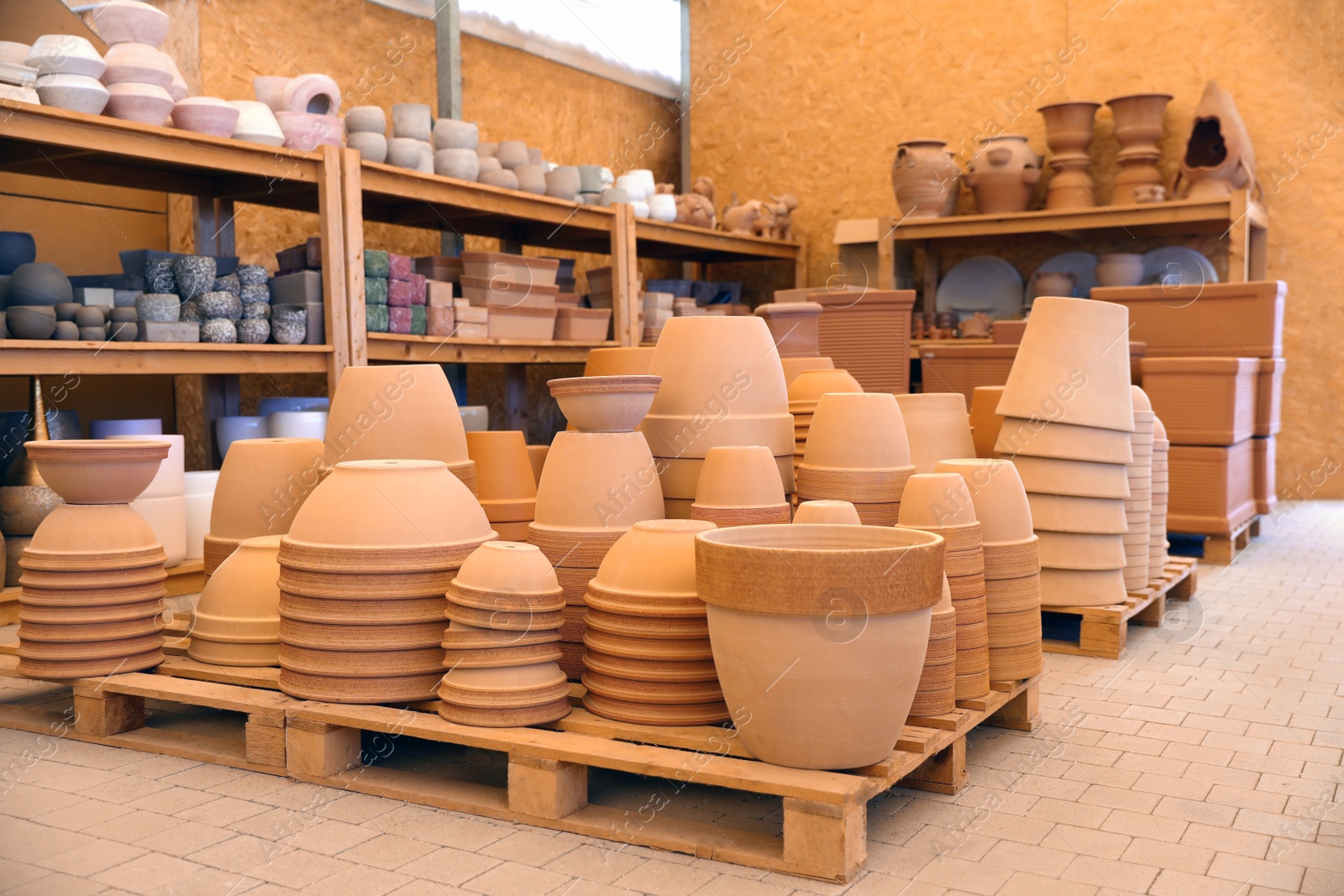 Photo of Many different flower pots in gardening shop