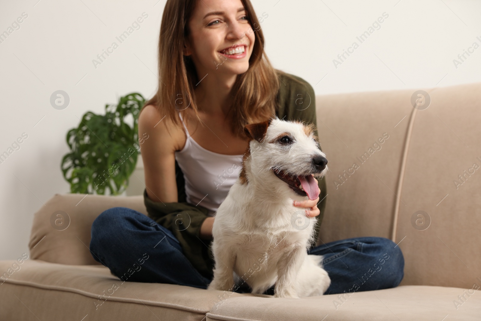 Photo of Young woman with her cute Jack Russell Terrier on sofa at home. Lovely pet