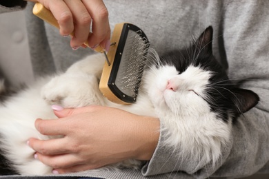 Photo of Woman brushing cute black and white cat, closeup