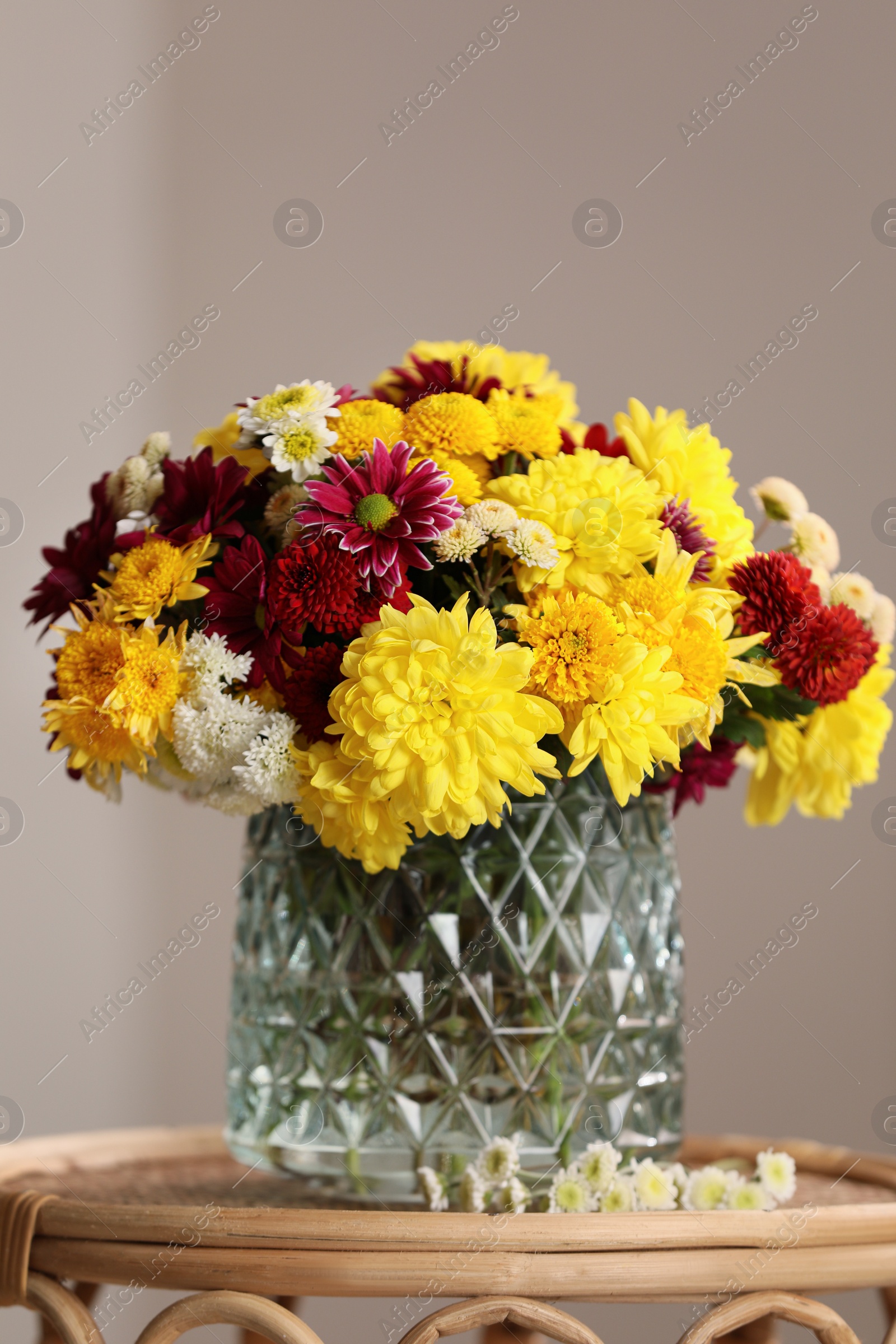 Photo of Bouquet of beautiful chrysanthemum flowers on wicker table indoors