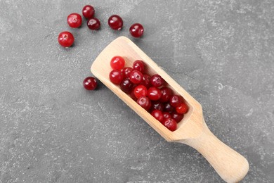 Photo of Scoop with fresh ripe cranberries on grey table, top view