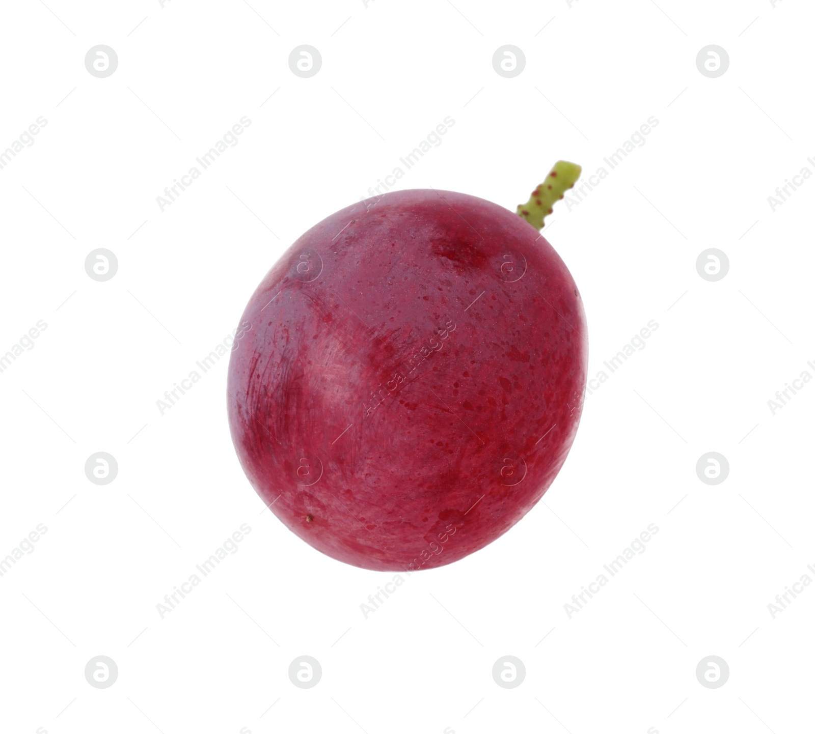 Photo of One ripe red grape isolated on white