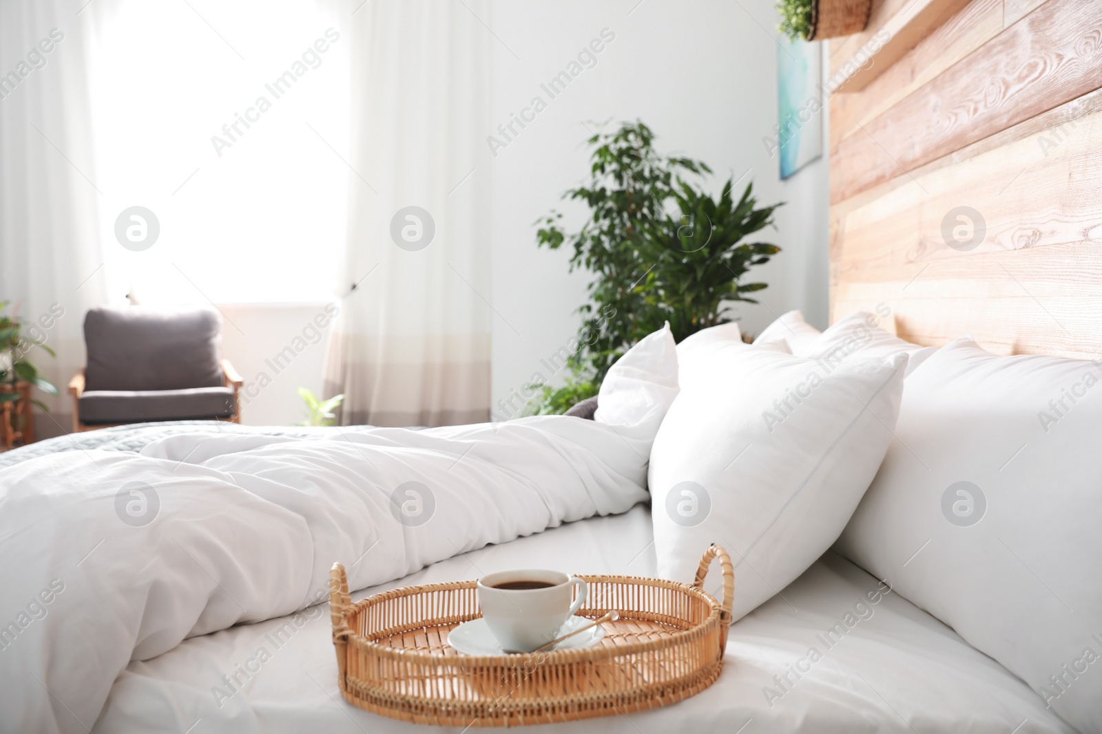 Photo of Cup of coffee on bed in room decorated with green plants. Home design ideas