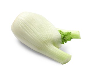 Photo of Fresh raw fennel bulb isolated on white