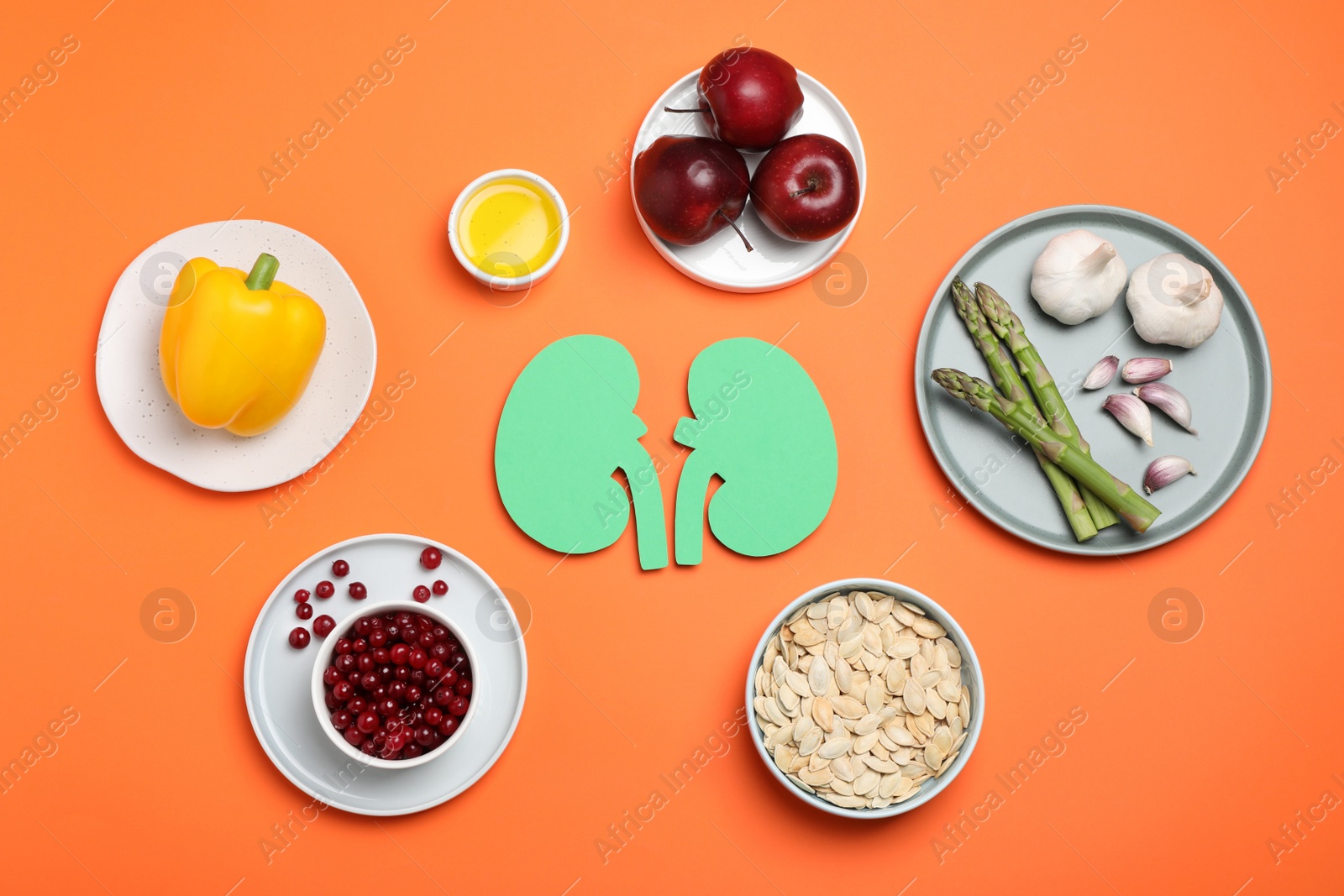 Photo of Paper cutout of kidneys and different healthy products on orange background, flat lay