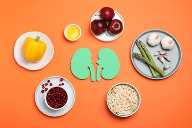 Photo of Paper cutout of kidneys and different healthy products on orange background, flat lay