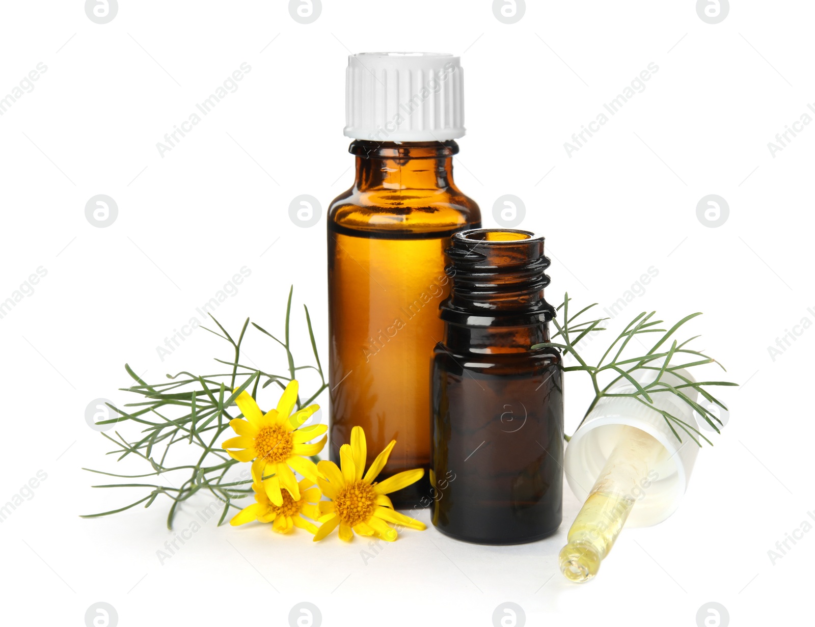 Photo of Composition with essential oil and flowers on white background