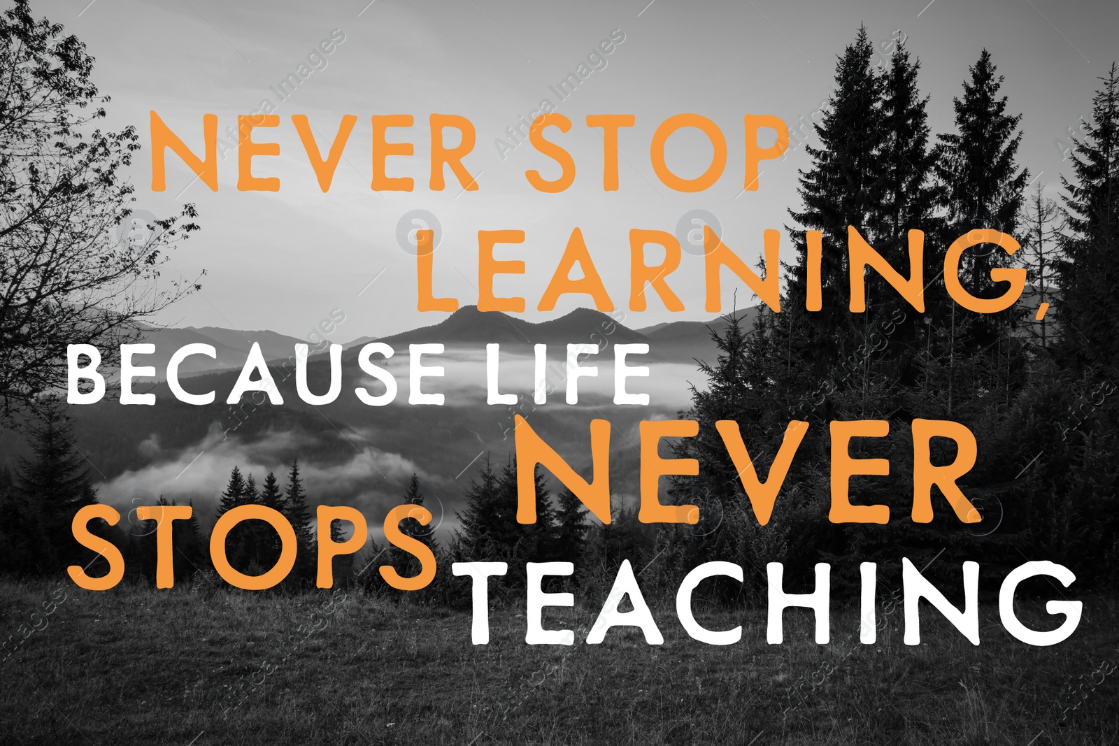 Image of Never Stop Learning, Because Life Never Stops Teaching. Motivational quote saying that knowledge comes from everywhere every day. Text against beautiful mountain landscape