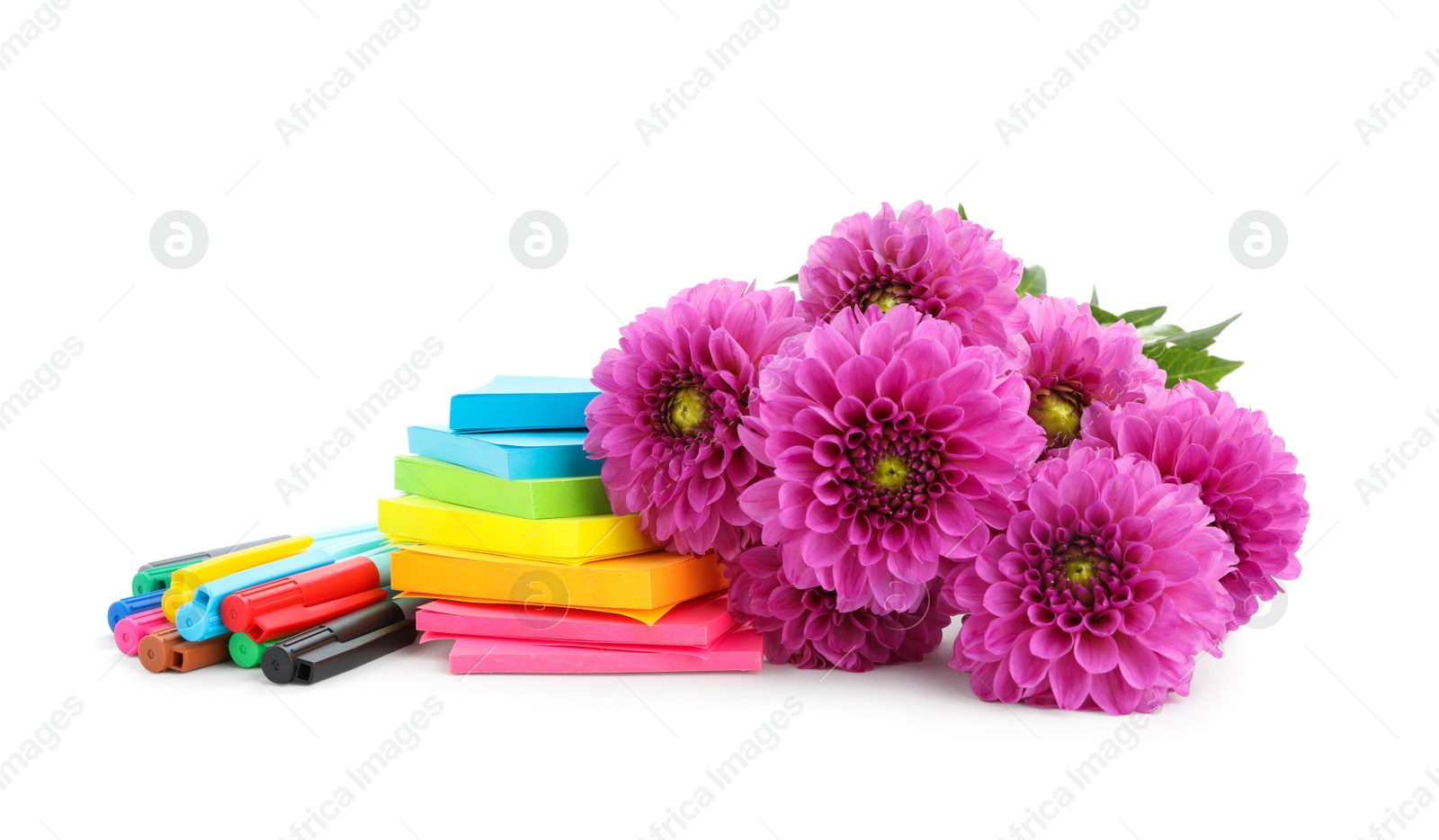 Photo of Beautiful flowers and stationery on white background. Teacher's Day