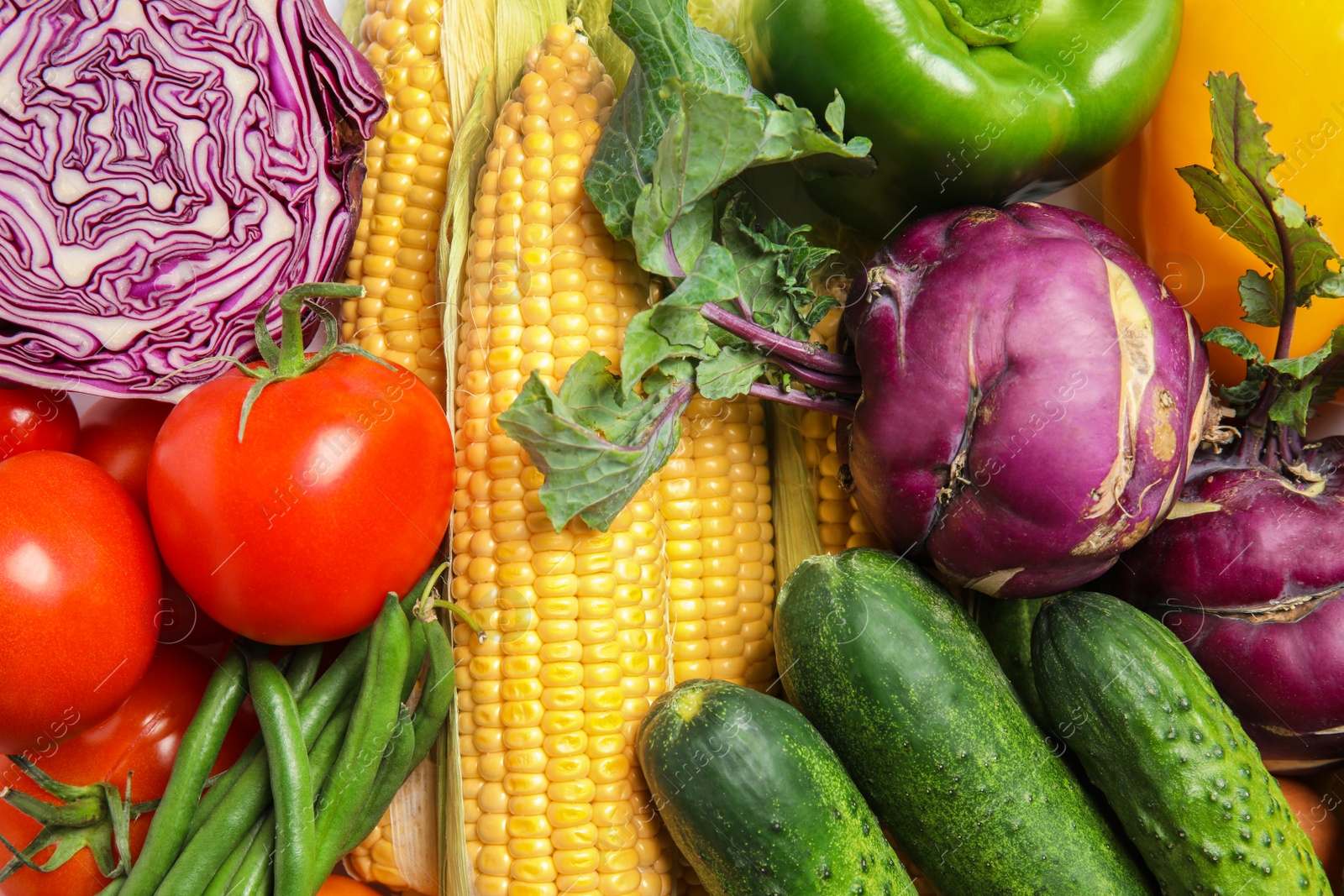 Photo of Assortment of fresh colorful vegetables, closeup. Healthy food