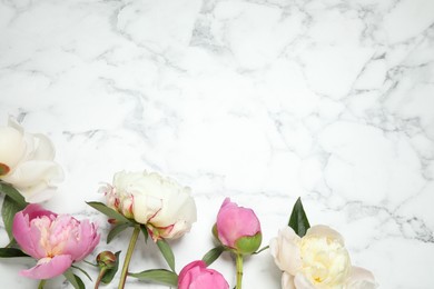 Beautiful peonies on white marble background, flat lay. Space for text