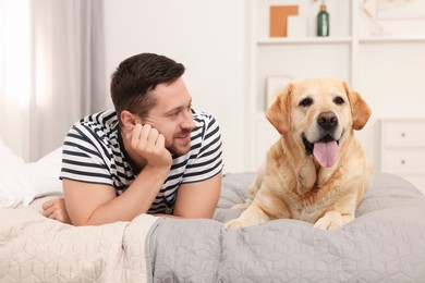 Photo of Man with adorable Labrador Retriever dog on bed at home. Lovely pet