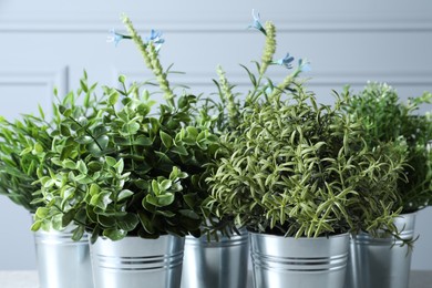 Photo of Different aromatic potted herbs near light grey wall, closeup