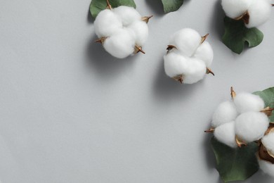 Photo of Cotton flowers and eucalyptus leaves on light grey background, flat lay. Space for text