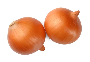 Two fresh onions on white background, top view