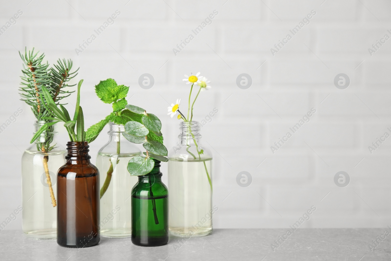 Photo of Glass bottles of different essential oils with plants on table. Space for text