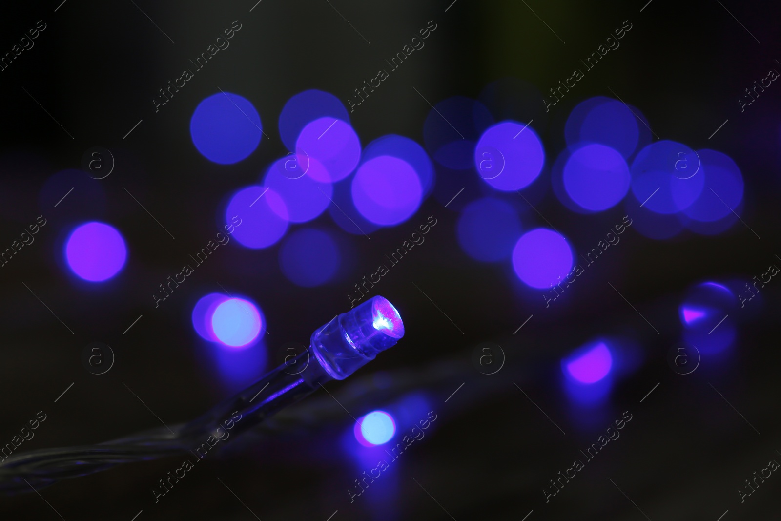 Photo of Blue Christmas lights on dark background, closeup view