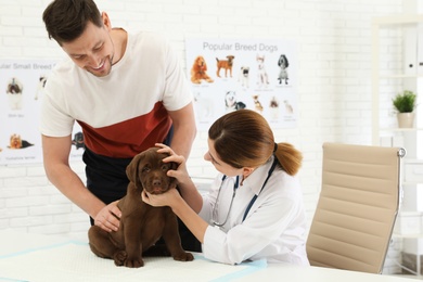 Man with his pet visiting veterinarian in clinic. Doc examining Labrador puppy