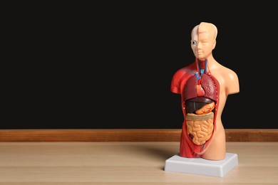 Photo of Human anatomy mannequin showing internal organs near chalkboard. Space for text