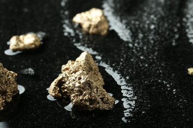 Photo of Shiny gold nuggets on wet black stone, closeup. Space for text