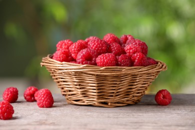 Wicker basket with tasty ripe raspberries on wooden table against blurred green background, closeup
