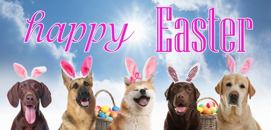 Image of Happy Easter. Cute dogs with bunny ears headbands outdoors