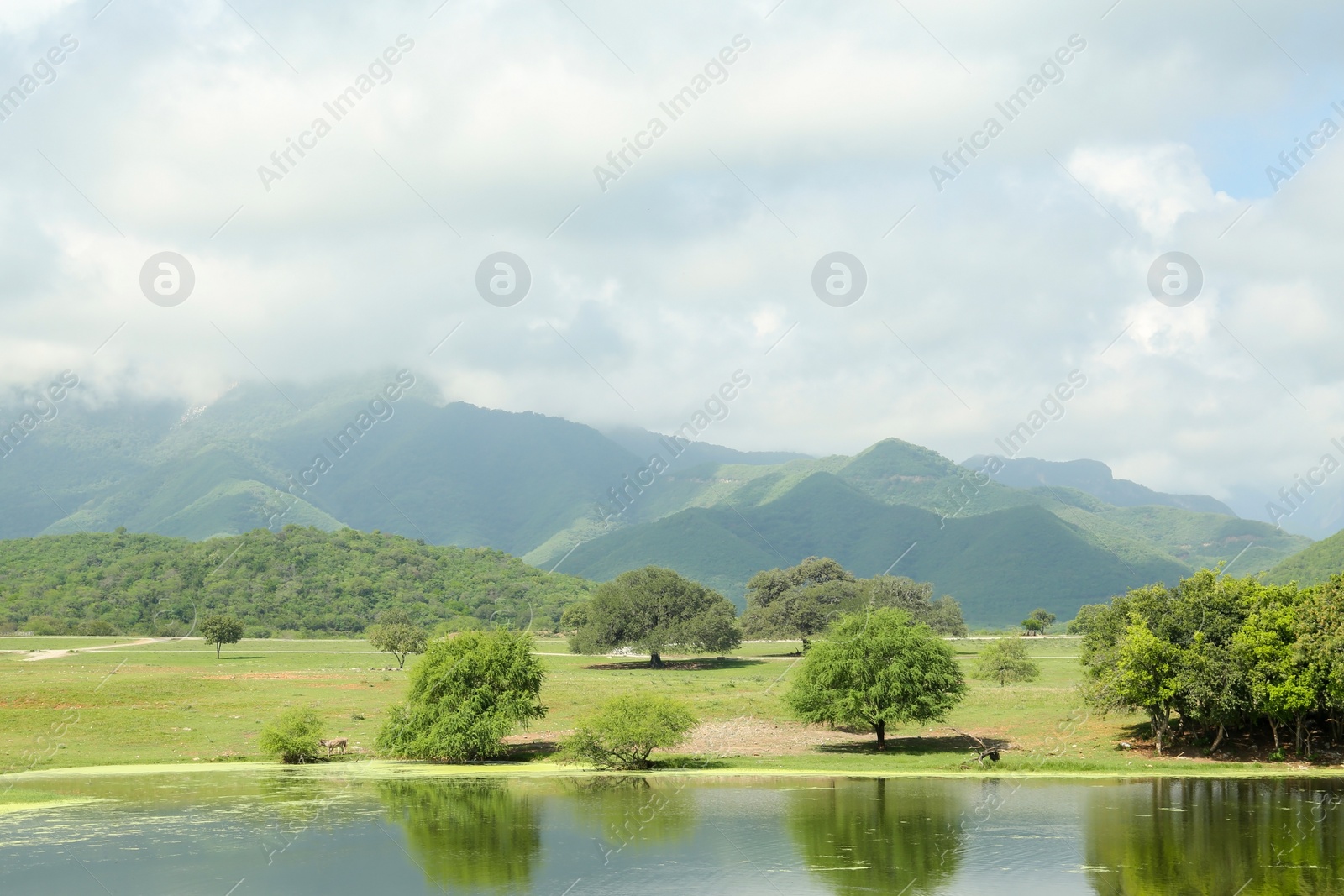 Photo of Picturesque view of mountains and green meadow with lake