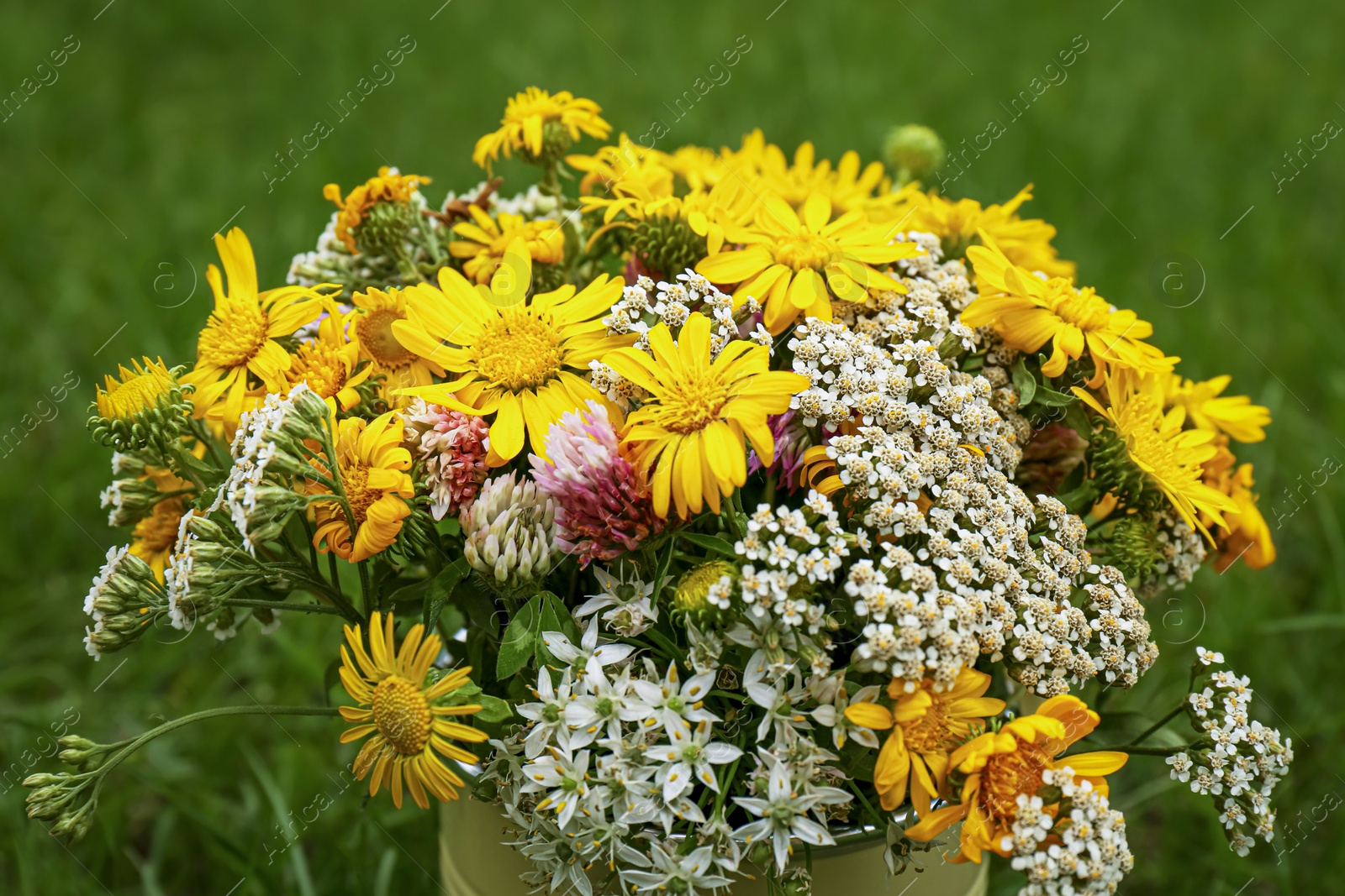 Photo of Pale yellow watering can with beautiful flowers on green grass, closeup