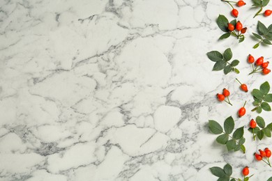 Photo of Ripe rose hip berries with green leaves on white marble table, flat lay. Space for text