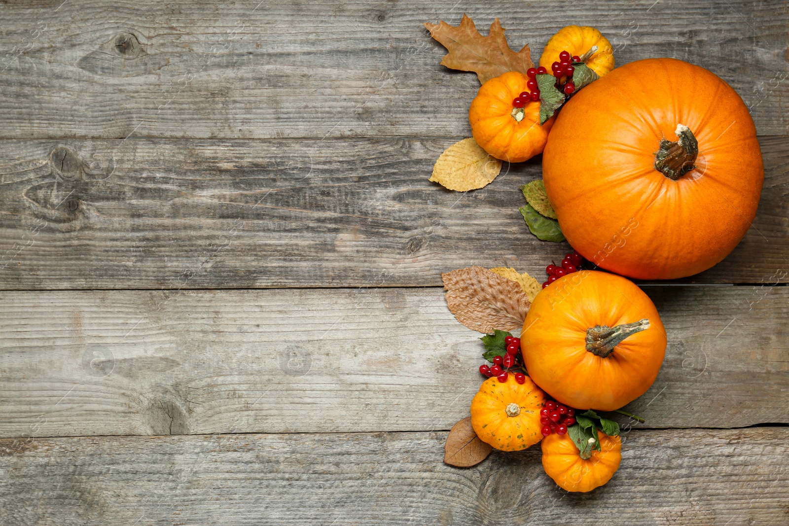 Photo of Thanksgiving day. Flat lay composition with pumpkins on wooden table, space for text