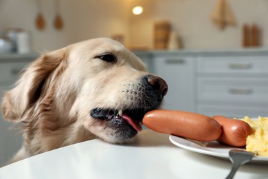 Photo of Cute dog trying to steal sausage from table in kitchen