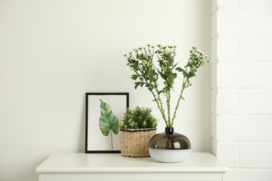 Decorative vase with flowers and houseplant on commode indoors