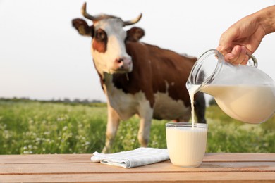 Photo of Closeup view of woman pouring milk into glass on wooden table and cow grazing in meadow
