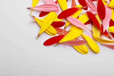 Photo of Pile of beautiful petals on white background, top view