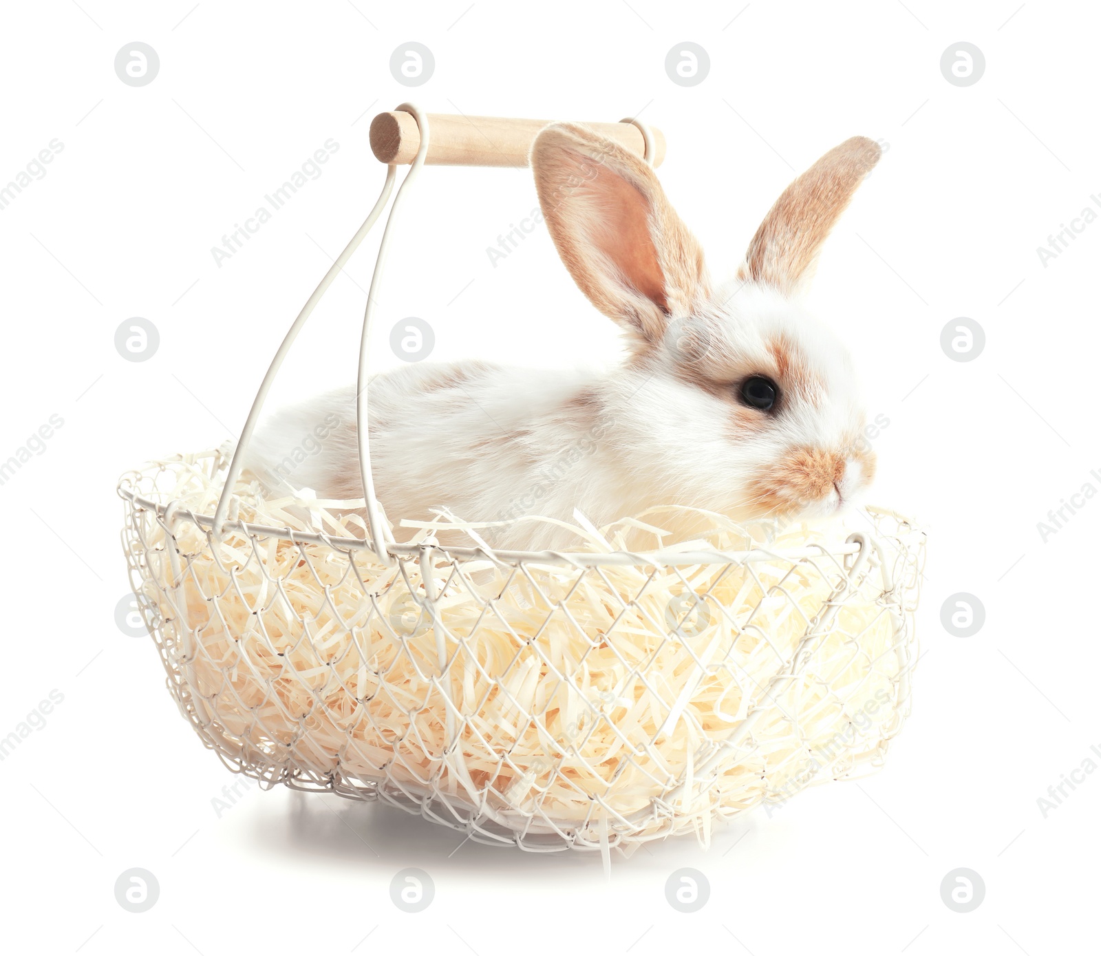 Photo of Cute bunny in metal basket on white background