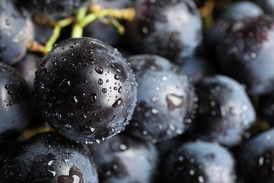 Fresh ripe juicy black grapes as background, closeup view