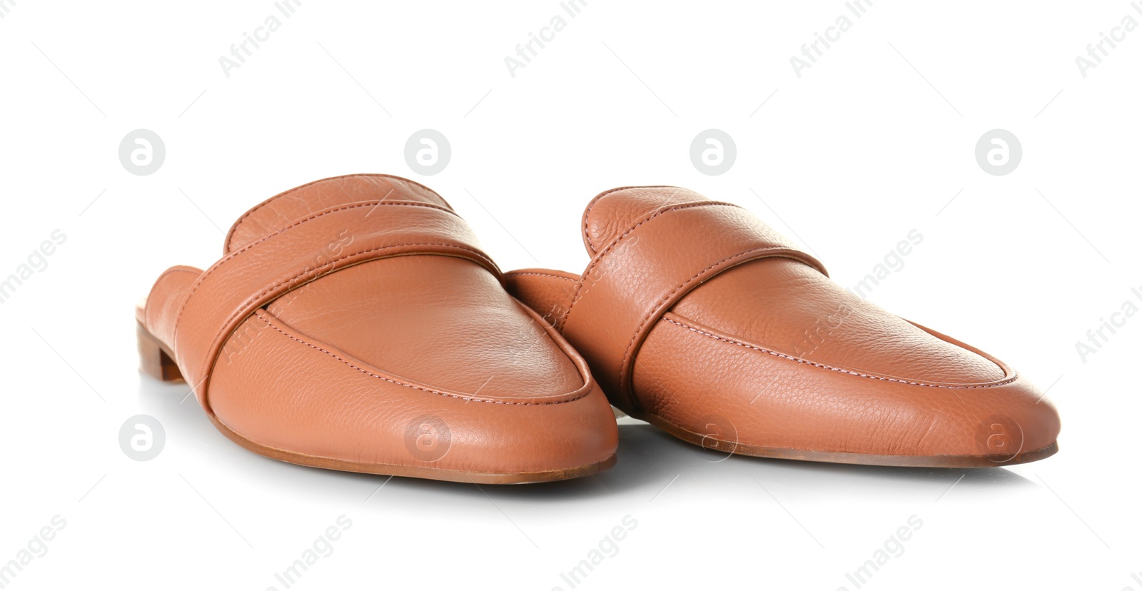 Photo of Pair of female shoes on white background