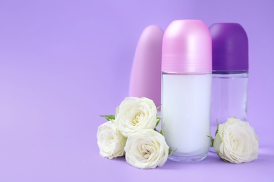 Composition with different female roll-on deodorants on purple background, space for text