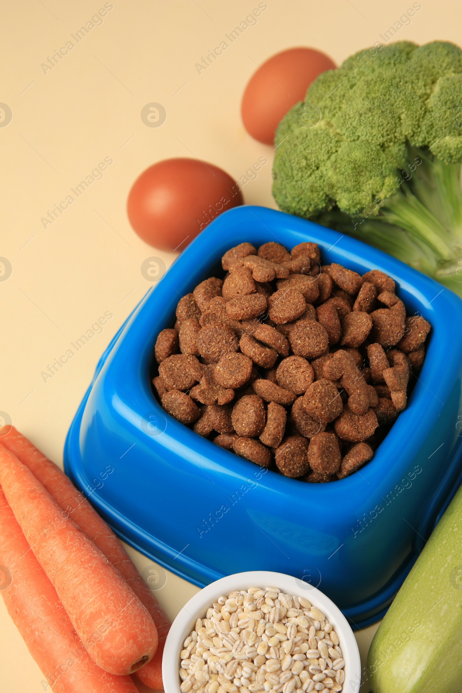 Photo of Dry pet food and products on beige background