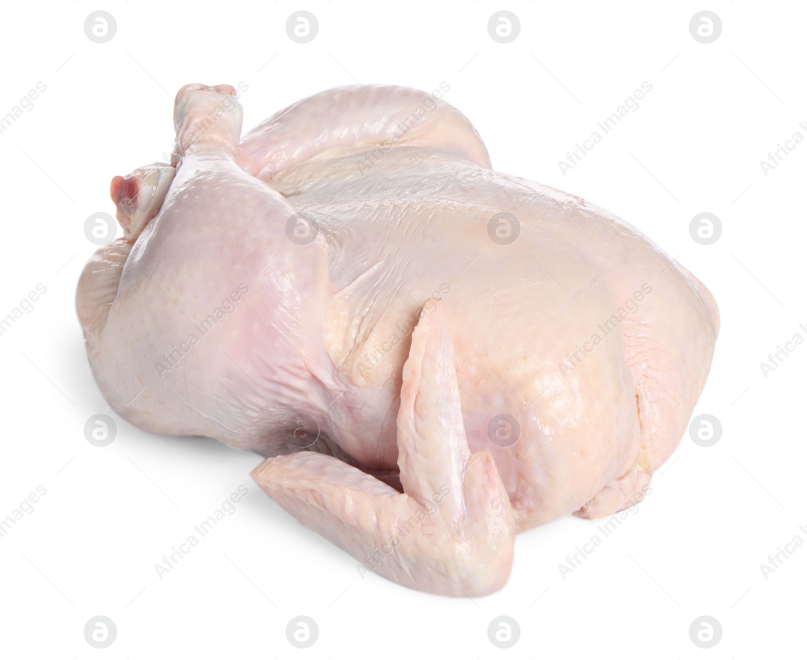 Photo of One fresh raw chicken isolated on white