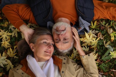 Portrait of affectionate senior couple on ground with autumn dry leaves outdoors, top view