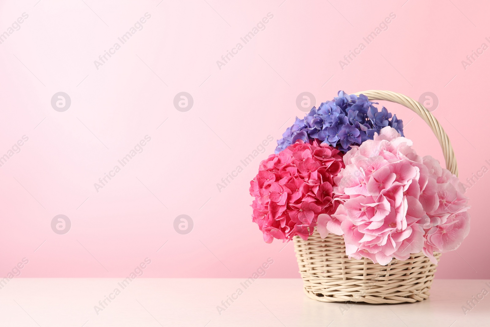 Photo of Bouquet with beautiful hortensia flowers in wicker basket on white wooden table. Space for text