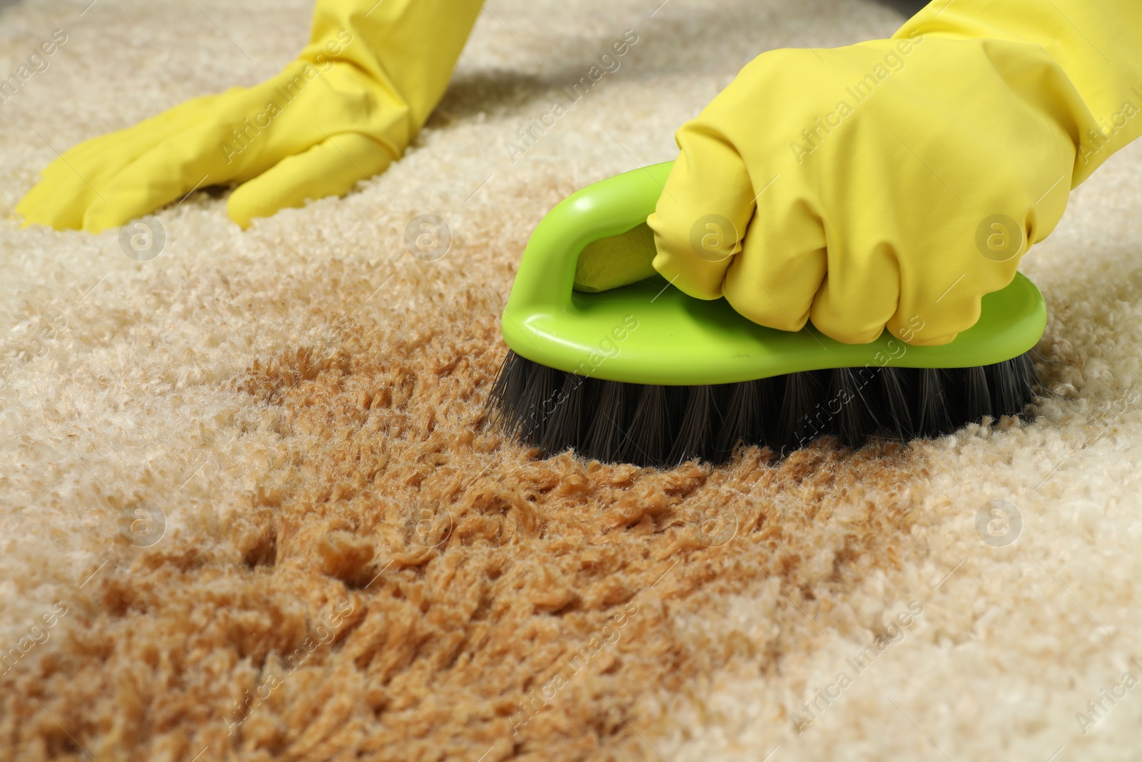 Photo of Woman removing stain from beige carpet, closeup