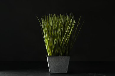 Photo of Artificial plant in flower pot on black table