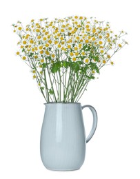 Vase with beautiful chamomile flowers isolated on white