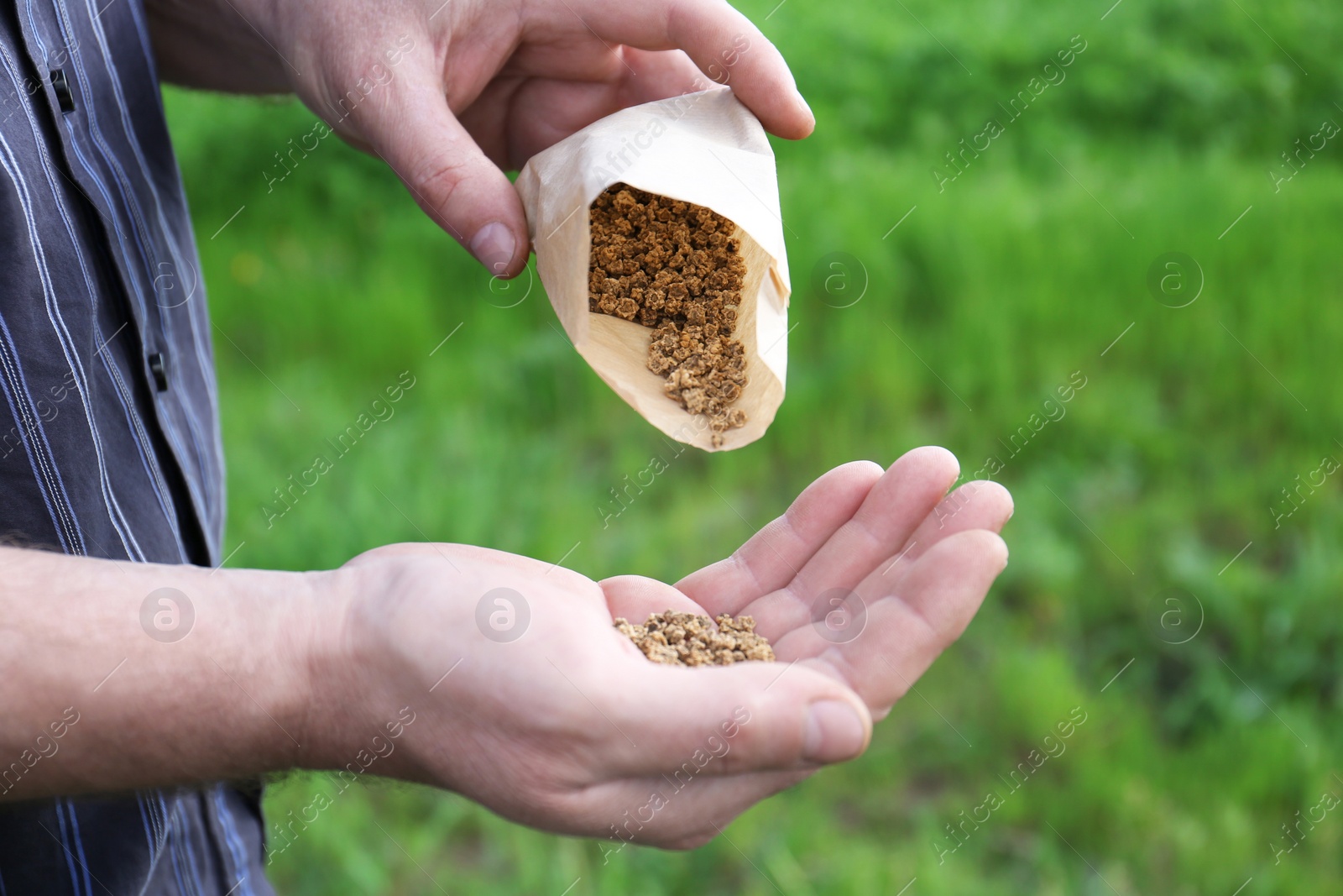 Photo of Man pouring beet seeds from paper bag into hand outdoors, closeup